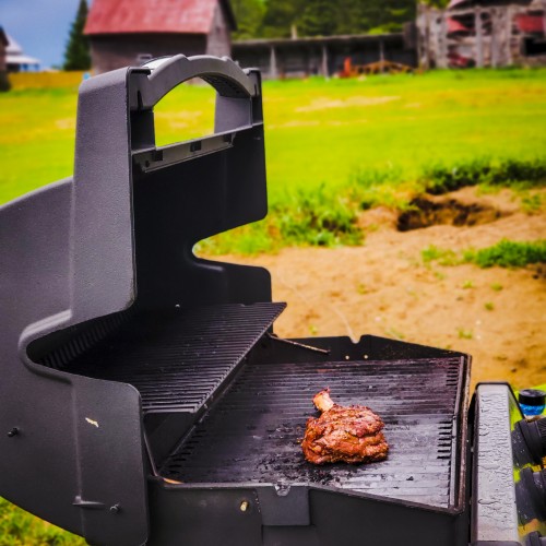 Bison Tomahawk Steak