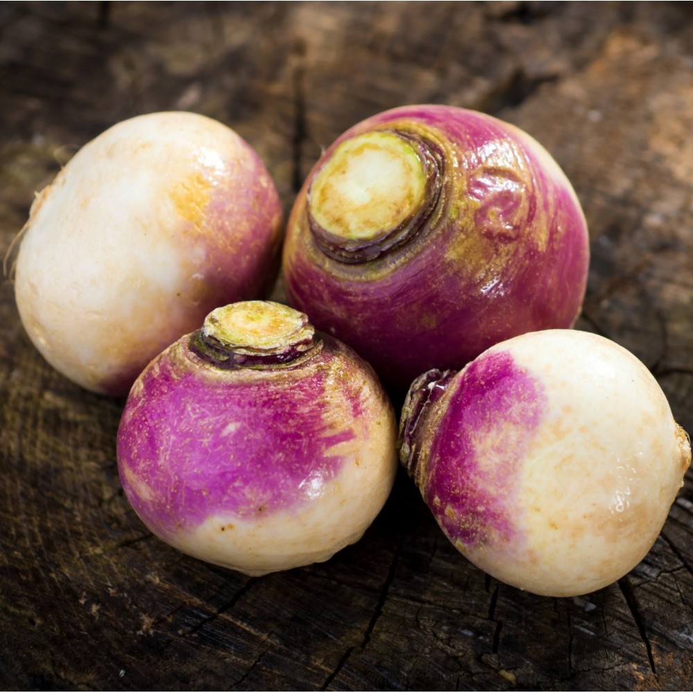 Turnip - Locally Grown - each