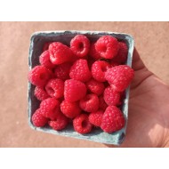 Raspberries