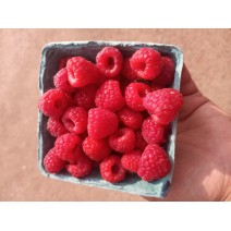 Raspberries