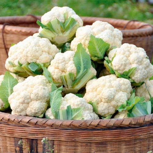 Cauliflower - Ontario