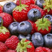 Fruit Box - Ontario 
