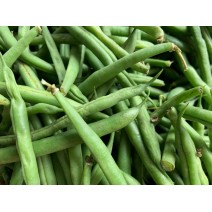 Green Beans - Ontario