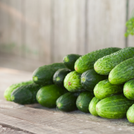 Cucumbers - Lebanese - Ontario - Pack of 4