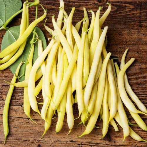 Beans - Yellow - Ontario