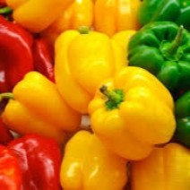 Peppers - Set of 2