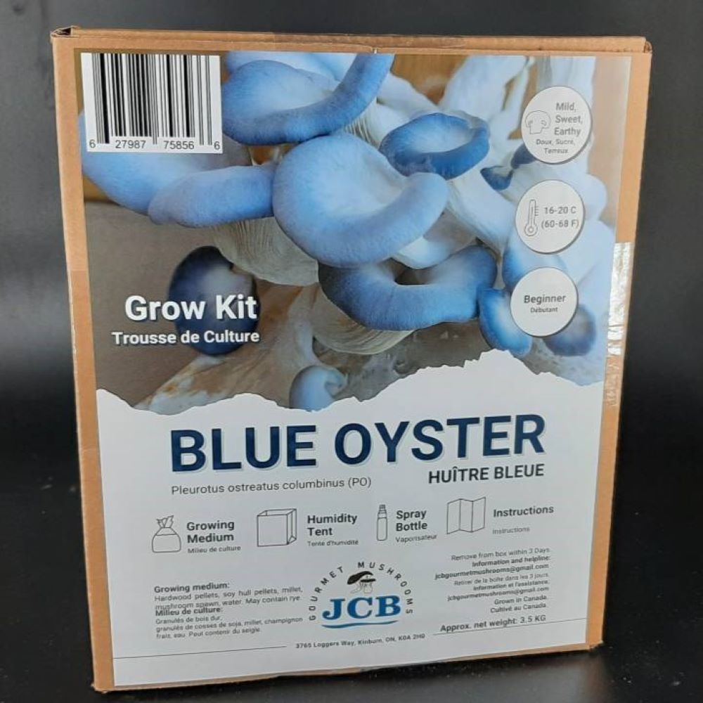 Blue Oyster Grow kit