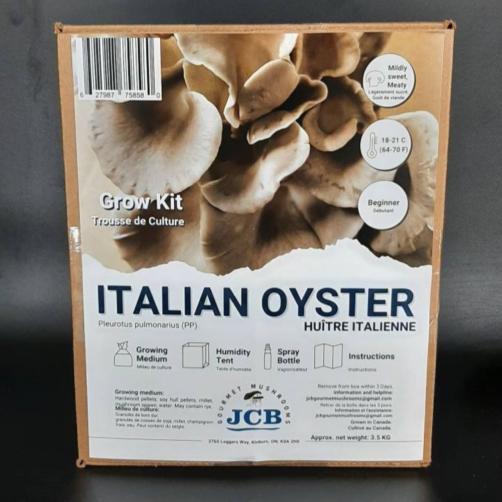 Italian Oyster Grow kit