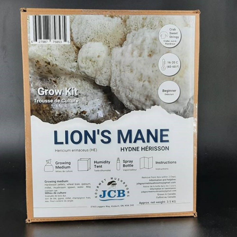 Lion's Mane Grow Kit 