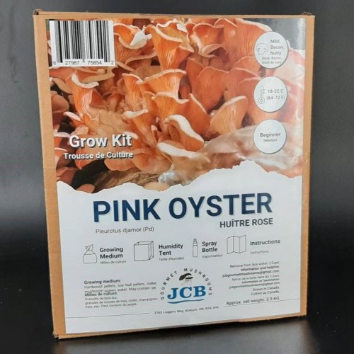 Pink Oyster Grow kit